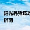 阳光养猪场攻略大全：从新手到高手的全方位指南