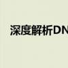 深度解析DNS服务：工作原理与配置优化