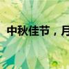 中秋佳节，月圆人团圆：温馨祝福满载而归