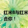 红米8与红米8A：深度对比解析，看哪款更适合你！