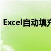 Excel自动填充设置详解：让数据输入更高效