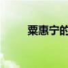 粟惠宁的生平简介：从成长到成就