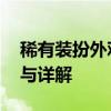 稀有装扮外观大揭秘：1-12期华丽外观展示与详解