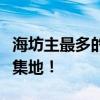 海坊主最多的地点揭秘：寻找海坊主的秘密聚集地！