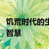 饥荒时代的生存菜谱：探索极限生存下的烹饪智慧