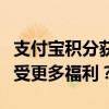 支付宝积分获取攻略：如何轻松累积积分并享受更多福利？