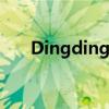 Dingding电脑版使用指南及功能解析