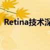 Retina技术深度解析：优势与应用领域探讨