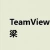 TeamViewer远程工具：连接世界的无缝桥梁