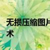 无损压缩图片大小技巧：保持清晰度不变的艺术