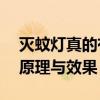 灭蚊灯真的有用吗？——深度解析灭蚊灯的原理与效果