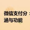 微信支付分：解析微信这一信用评估体系的内涵与功能