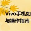 Vivo手机如何恢复出厂设置？——详细步骤与操作指南