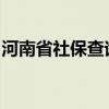 河南省社保查询指南：轻松掌握个人社保信息