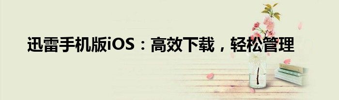 迅雷手机版iOS：高效下载，轻松管理