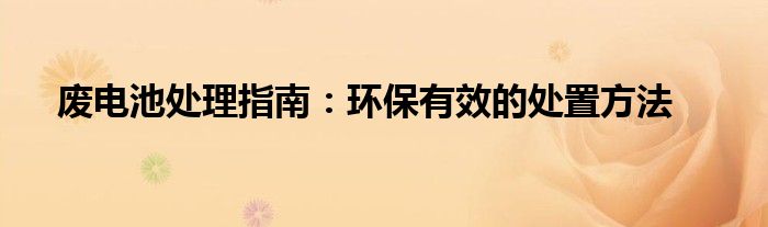 废电池的处理方法研究报告（处理废电池的环保方法）