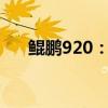 鲲鹏920：引领未来的高性能计算平台