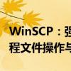 WinSCP：强大的文件传输工具，轻松实现远程文件操作与管理