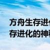 方舟生存进化畸变代码秘籍大全——探索生存进化的神秘之旅