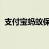 支付宝蚂蚁保险：全面解析数字保险新时代