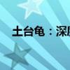 土台龟：深度解析其生态习性与饲养秘籍