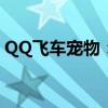 QQ飞车宠物：玩转游戏新伙伴的魅力与乐趣