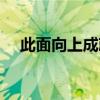 此面向上成就指南：步骤与方法全解析！