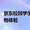 京东校园学生认证：解锁专属优惠，一站式购物体验