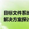 目标文件系统文件过大导致的存储和管理问题解决方案探讨