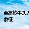 至高岭牛头人传承护甲：历史、荣耀与力量的象征