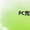 PC荒野行动：战场生存挑战