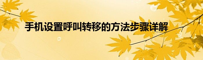 苹果手机呼叫转移功能在哪里设置（苹果手机呼叫转移没有自定义设置）