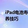 iPad电池寿命揭秘：如何延长使用时间与保养技巧