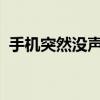 手机突然没声音了，原因及解决方案全解析