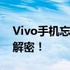 Vivo手机忘记解锁密码怎么办？解锁教程大解密！