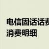 电信固话话费查询攻略：轻松掌握实时账单与消费明细