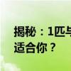 揭秘：1匹与1.5匹空调的差别，选择哪款更适合你？