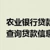 农业银行贷款查询指南：一步步教你如何轻松查询贷款信息