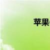 苹果6电池价格及更换指南