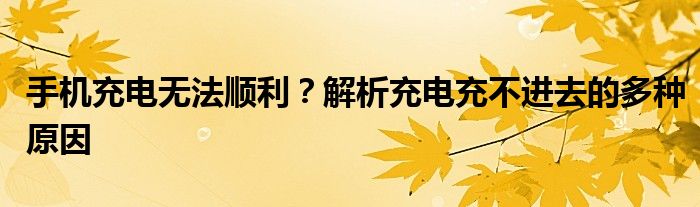 手机充电无法快充是什么原因（苹果手机充电到80%充不上去怎么办）