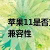 苹果11是否支持5G网络？解析其网络性能及兼容性