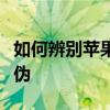 如何辨别苹果手机真假？全面指南教你识别真伪