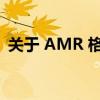 关于 AMR 格式：了解它的特点与应用场景