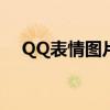 QQ表情图片大全：带字表情包一网打尽