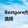 Bestgore内容浏览：探索适合观看的浏览器选择