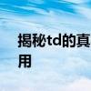 揭秘td的真实含义：一文读懂它的定义与应用