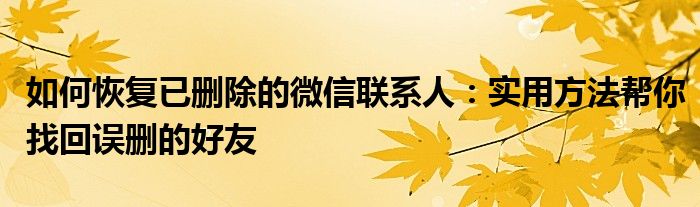 怎样把误删除的微信好友找回来（怎样恢复微信好友删除的联系人）