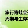 旅行青蛙会死吗？——揭秘旅行青蛙的生命周期与生存状况