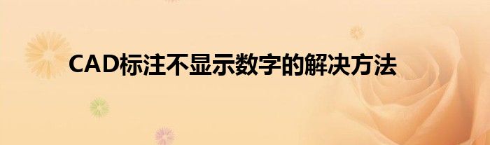 cad标注不显示数字的解决方法视频（cad标注不显示数字怎么办2020）