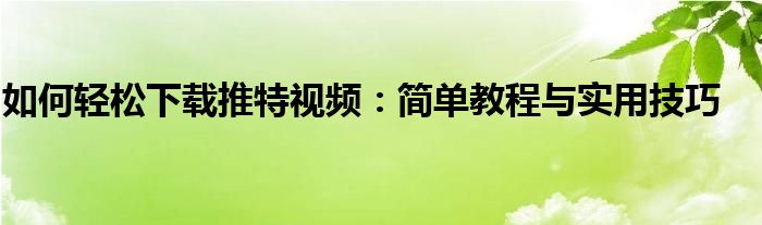 下载推特视频的方法（怎样下载推特视频）